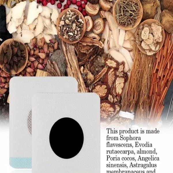 LIGA PARA FÍGADO - Imagem 2